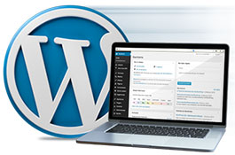 Hosting Web SSD con WordPress
