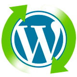 WordPress Smart Updates